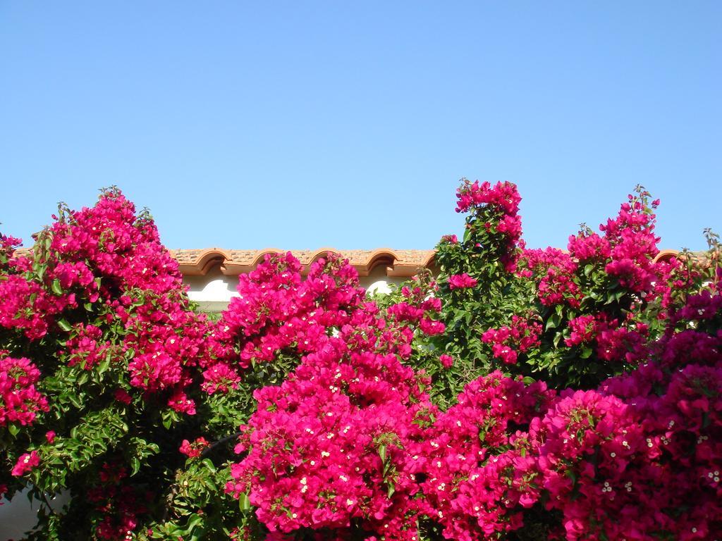 Monte Dos Arneiros Hotel Lavre Luaran gambar